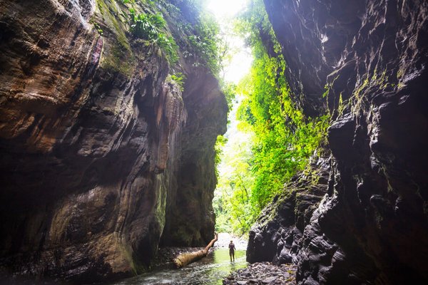 How to improve bone density naturally?